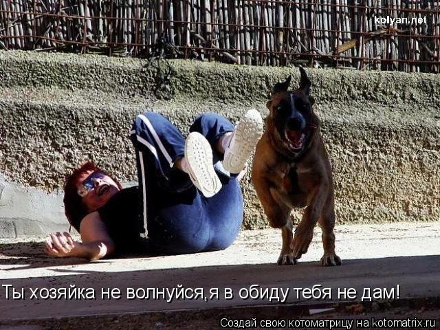 Ты хозяйка не волнуйся,я в обиду тебя не дам!... Котоматрица: Ты хозяйка не волнуйся,я в обиду тебя не дам!