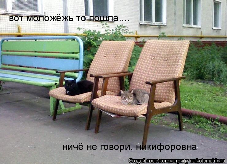 вот моложёжь то пошла.... ничё не говори, никифоровна... Котоматрица: вот моложёжь то пошла.... ничё не говори, никифоровна