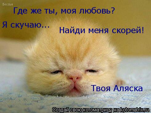 Где же ты, моя любовь? Я скучаю... Приходи скорей! Я скучаю... Найди меня скорей! Твоя Аляска... Котоматрица: Где же ты, моя любовь? Я скучаю... Приходи скорей! Я скучаю... Найди меня скорей! Твоя Аляска