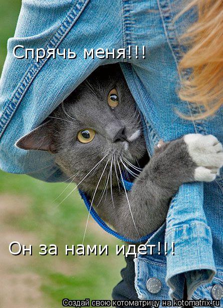 Он за нами идет!!! Спрячь меня!!!... Котоматрица: Он за нами идет!!! Спрячь меня!!!