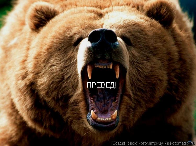 ПРЕВЕД!... Котоматрица: ПРЕВЕД!