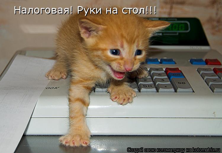 Налоговая! Руки на стол!!!... Котоматрица: Налоговая! Руки на стол!!!