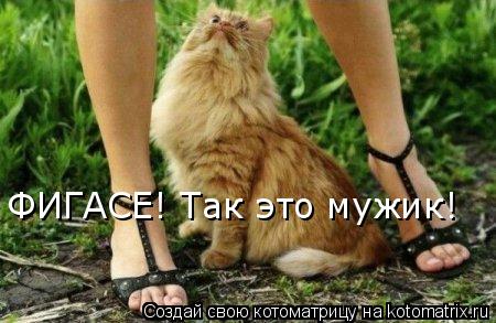 ФИГАСЕ! Так это мужик!... Котоматрица: ФИГАСЕ! Так это мужик!