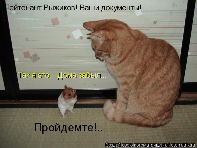 Лейтенант Рыжиков! Ваши документы! Так я это... Дома забыл... Пройдемте!..... Котоматрица: Лейтенант Рыжиков! Ваши документы! Так я это... Дома забыл... Пройдемте!..