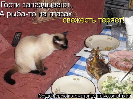 Гости запаздывают... А рыба-то на глазах свежесть теряет!... Котоматрица: Гости запаздывают... А рыба-то на глазах свежесть теряет!