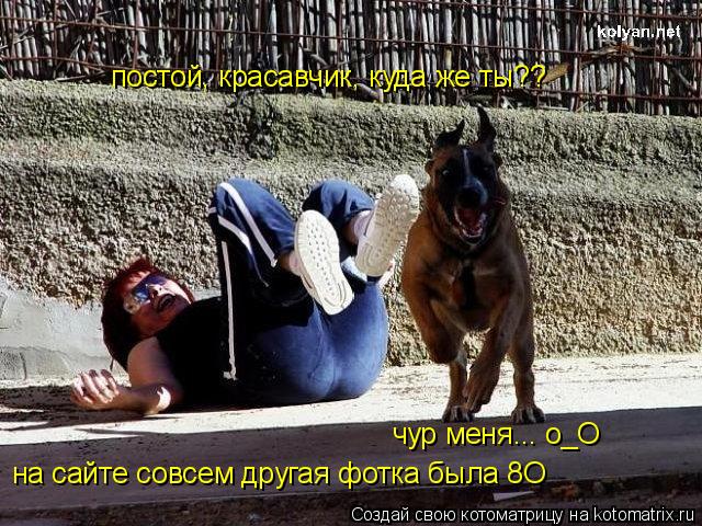 постой, красавчик, куда же ты?? чур меня... о_О на сайте совсем другая фотка была 8О... Котоматрица: постой, красавчик, куда же ты?? чур меня... о_О на сайте совсем другая фотка была 8О