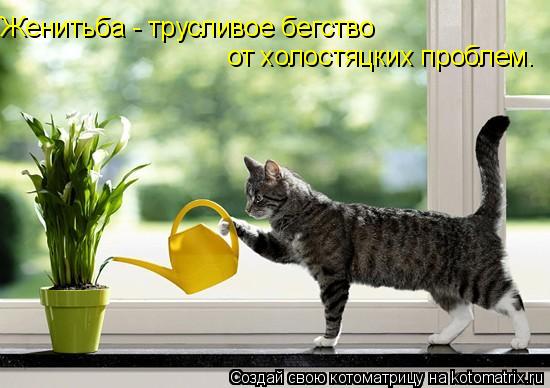 Женитьба - трусливое бегство от холостяцких проблем.... Котоматрица: Женитьба - трусливое бегство от холостяцких проблем.