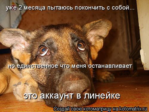 уже 2 месяца пытаюсь покончить с собой... но единственное что меня останавливает это аккаунт в линейк... Котоматрица: уже 2 месяца пытаюсь покончить с собой... но единственное что меня останавливает это аккаунт в линейке