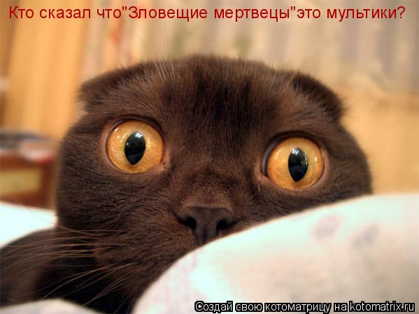 Кто сказал что"Зловещие мертвецы"это мультики?... Котоматрица: Кто сказал что"Зловещие мертвецы"это мультики?