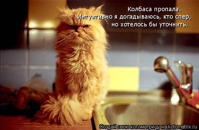 Колбаса пропала. Интуитивно я догадываюсь, кто спер, но хотелось бы уточнить.... Котоматрица: Колбаса пропала. Интуитивно я догадываюсь, кто спер, но хотелось бы уточнить.