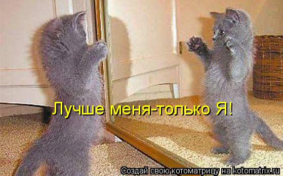 Лучше меня-только Я!... Котоматрица: Лучше меня-только Я!