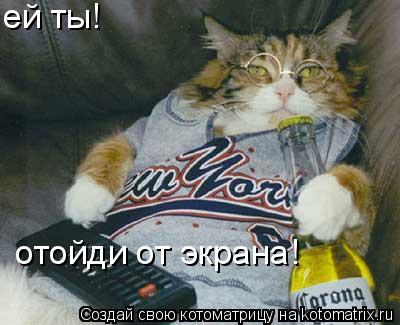 ей ты! отойди от экрана!... Котоматрица: ей ты! отойди от экрана!
