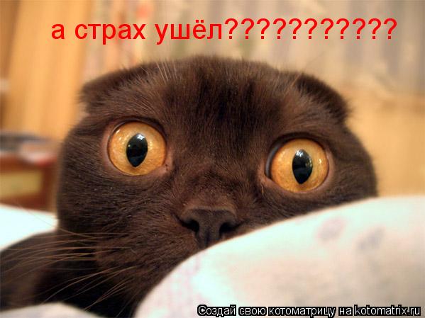 а страх ушёл???????????... Котоматрица: а страх ушёл???????????