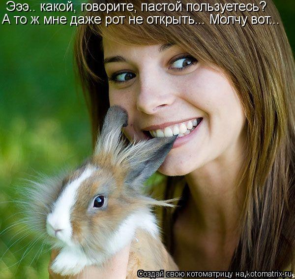 Эээ.. какой, говорите, пастой пользуетесь? А то ж мне даже рот не открыть... Молчу вот...... Котоматрица: Эээ.. какой, говорите, пастой пользуетесь? А то ж мне даже рот не открыть... Молчу вот...