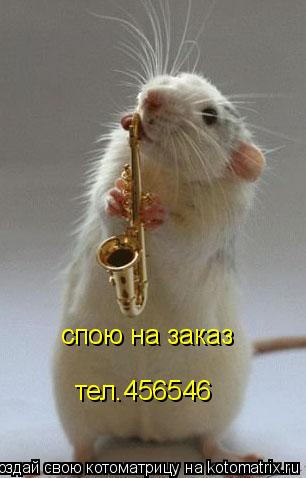 спою на заказ тел.456546... Котоматрица: спою на заказ тел.456546