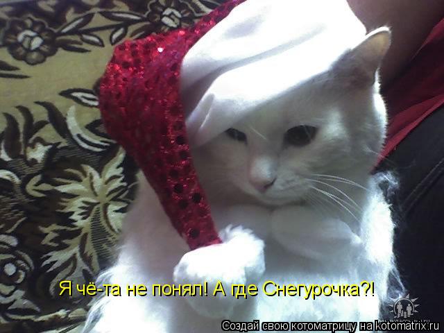 Я чё-та не понял! А где Снегурочка?!... Котоматрица: Я чё-та не понял! А где Снегурочка?!