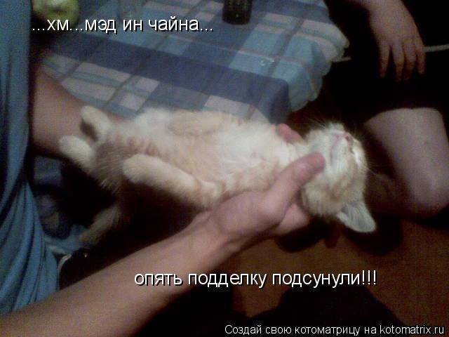 ...хм...мэд ин чайна... опять подделку подсунули!!!... Котоматрица: ...хм...мэд ин чайна... опять подделку подсунули!!!