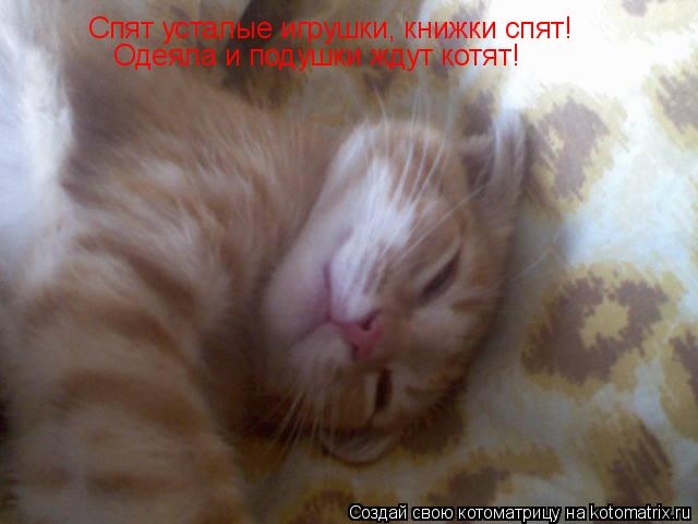 Спят усталые игрушки, книжки спят! Одеяла и подушки ждут котят!... Котоматрица: Спят усталые игрушки, книжки спят! Одеяла и подушки ждут котят!