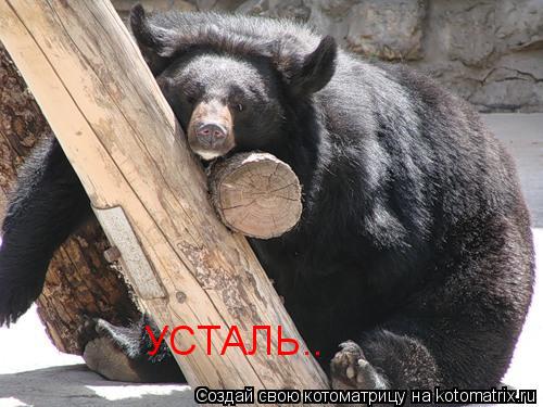 УСТАЛЬ..... Котоматрица: УСТАЛЬ..