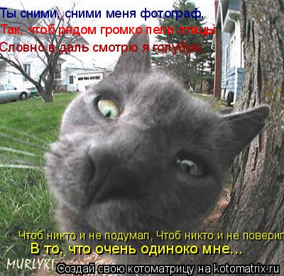 Ты сними, сними меня фотограф, Так, чтоб рядом громко пели птицы Словно в даль смотрю я голубую, Чтоб... Котоматрица: Ты сними, сними меня фотограф, Так, чтоб рядом громко пели птицы Словно в даль смотрю я голубую, Чтоб никто и не подумал, Чтоб никто и не повер
