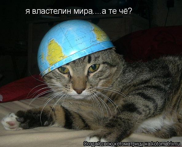 я властелин мира....а те чё?... Котоматрица: я властелин мира....а те чё?
