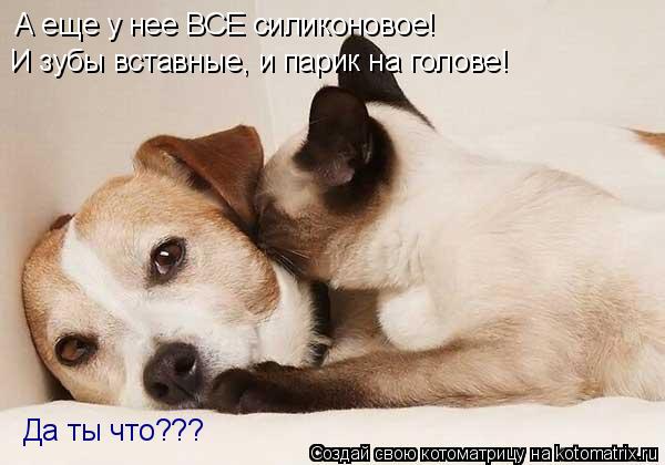 А еще у нее ВСЕ силиконовое! И зубы вставные, и парик на голове! Да ты что???... Котоматрица: А еще у нее ВСЕ силиконовое! И зубы вставные, и парик на голове! Да ты что???
