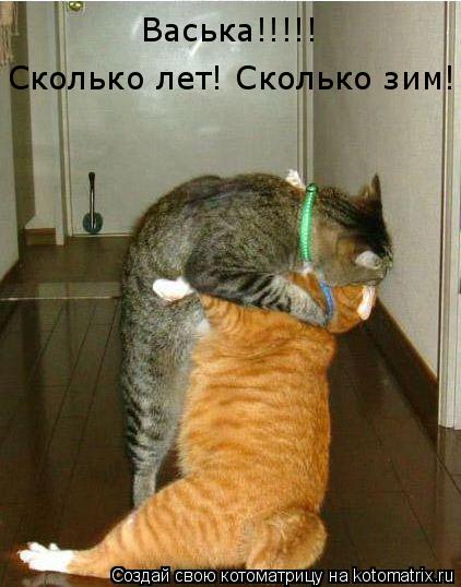 Васька!!!!! Сколько лет! Сколько зим!... Котоматрица: Васька!!!!! Сколько лет! Сколько зим!