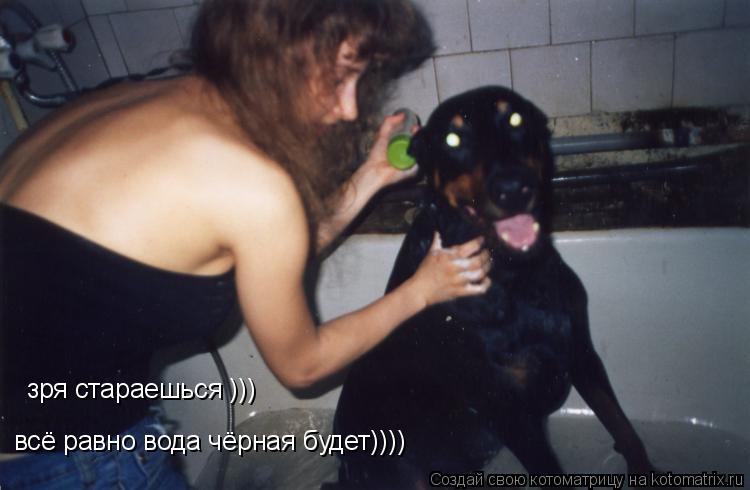 зря стараешься ))) всё равно вода чёрная будет))))... Котоматрица: зря стараешься ))) всё равно вода чёрная будет))))