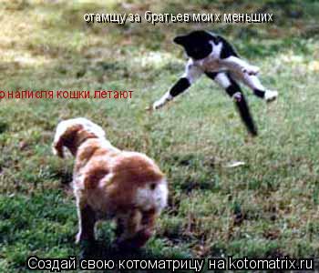 о написля кошки летают отамщу за братьев моих меньших... Котоматрица: о написля кошки летают отамщу за братьев моих меньших