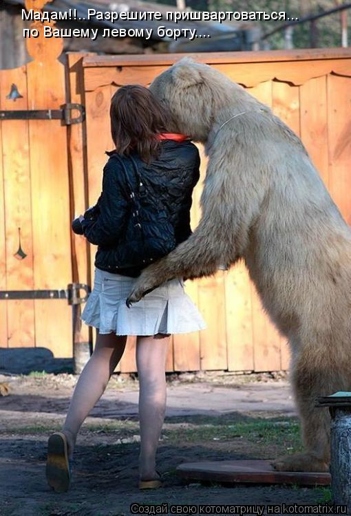 Мадам!!..Разрешите пришвартоваться... по Вашему левому борту....... Котоматрица: Мадам!!..Разрешите пришвартоваться... по Вашему левому борту....