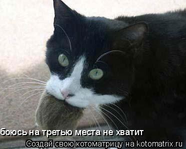 боюсь на третью места не хватит... Котоматрица: боюсь на третью места не хватит