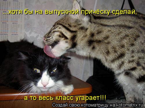 ...хотя бы на выпускной причёску сделай, а то весь класс угарает!!!... Котоматрица: ...хотя бы на выпускной причёску сделай, а то весь класс угарает!!!