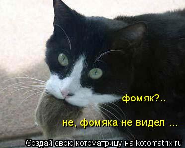не, фомяка не видел ... фомяк?..... Котоматрица: не, фомяка не видел ... фомяк?..