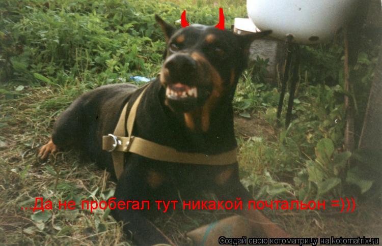 ...Да не пробегал тут никакой почтальон =)))... Котоматрица: ...Да не пробегал тут никакой почтальон =)))