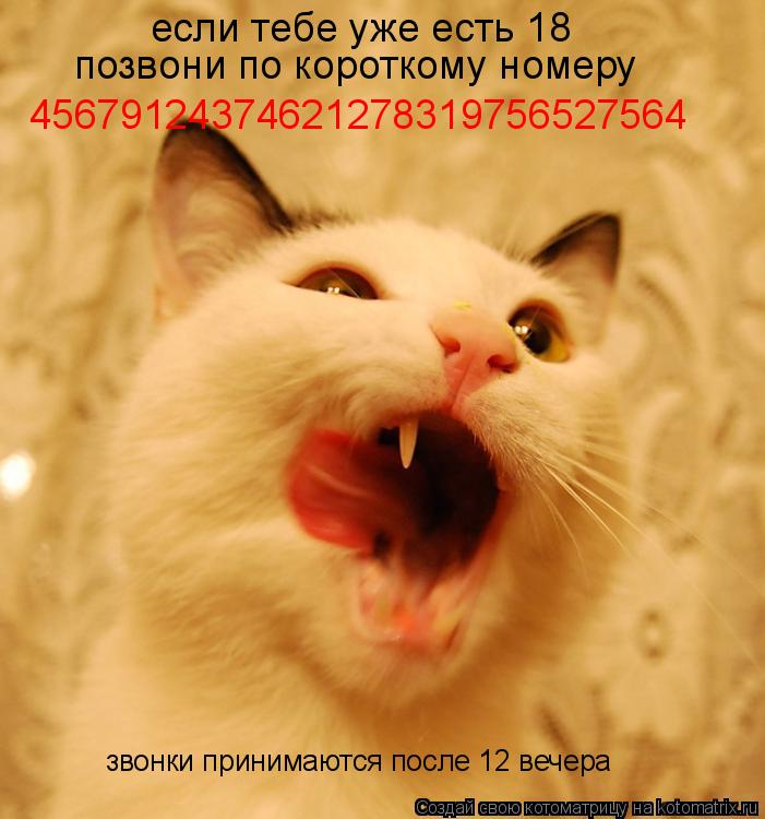 звонки принимаются после 12 вечера если тебе уже есть 18 позвони по короткому номеру 4567912437462127... Котоматрица: звонки принимаются после 12 вечера если тебе уже есть 18 позвони по короткому номеру 45679124374621278319756527564