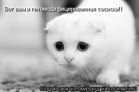 Вот вам и геномодифицированная сосиска!!... Котоматрица: Вот вам и геномодифицированная сосиска!!