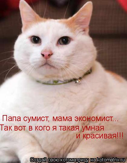 Папа сумист, мама экономист... Так вот в кого я такая умная и красивая!!!... Котоматрица: Папа сумист, мама экономист... Так вот в кого я такая умная и красивая!!!