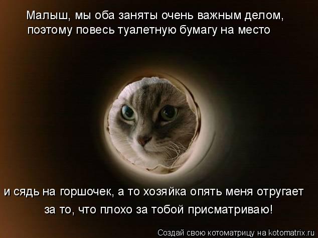 Малыш, мы оба заняты очень важным делом, поэтому повесь туалетную бумагу на место и сядь на горшочек,... Котоматрица: Малыш, мы оба заняты очень важным делом, поэтому повесь туалетную бумагу на место и сядь на горшочек, а то хозяйка опять меня отругает за то,