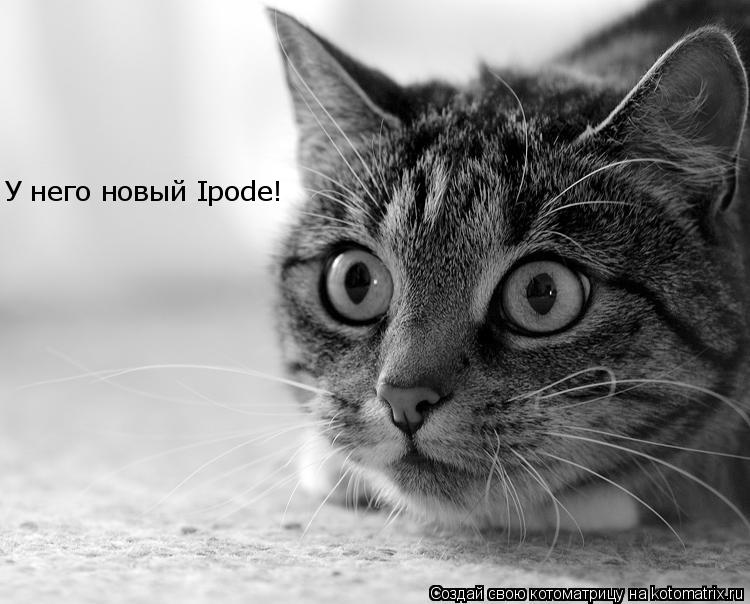У него новый Ipode!... Котоматрица: У него новый Ipode!