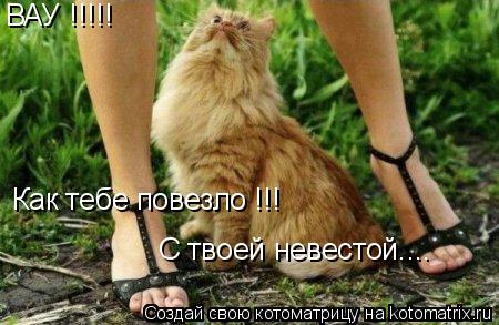 ВАУ !!!!! Как тебе повезло !!! С твоей невестой....... Котоматрица: ВАУ !!!!! Как тебе повезло !!! С твоей невестой....