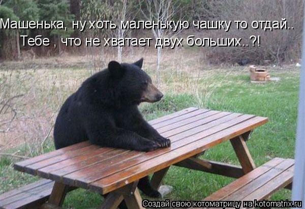 Машенька, ну хоть маленькую чашку то отдай.. Тебе , что не хватает двух больших..?!... Котоматрица: Машенька, ну хоть маленькую чашку то отдай.. Тебе , что не хватает двух больших..?!