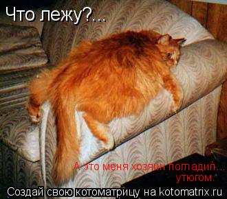 Что лежу?... А это меня хозяин погладил... утюгом.... Котоматрица: Что лежу?... А это меня хозяин погладил... утюгом.