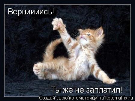 Верниииись! Ты же не заплатил!... Котоматрица: Верниииись! Ты же не заплатил!