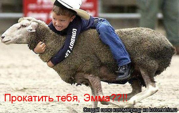 Прокатить тебя, Эмма??!!... Котоматрица: Прокатить тебя, Эмма??!!
