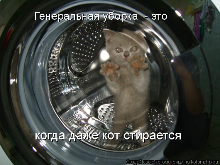 Генеральная уборка - это когда даже кот стирается... Котоматрица: Генеральная уборка - это когда даже кот стирается