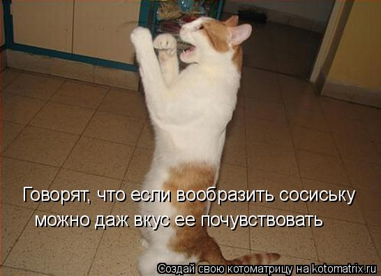 Говорят, что если вообразить сосиську можно даж вкус ее почувствовать... Котоматрица: Говорят, что если вообразить сосиську можно даж вкус ее почувствовать