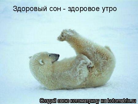 Здоровый сон - здоровое утро... Котоматрица: Здоровый сон - здоровое утро