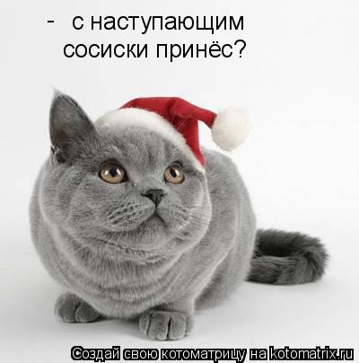 с наступающим - сосиски принёс?... Котоматрица: с наступающим - сосиски принёс?