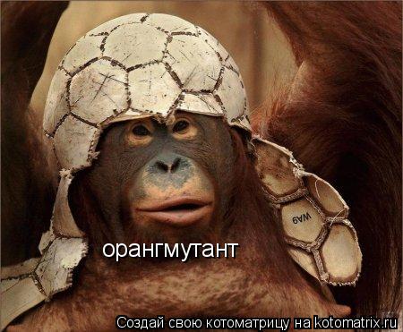 орангмутант... Котоматрица: орангмутант
