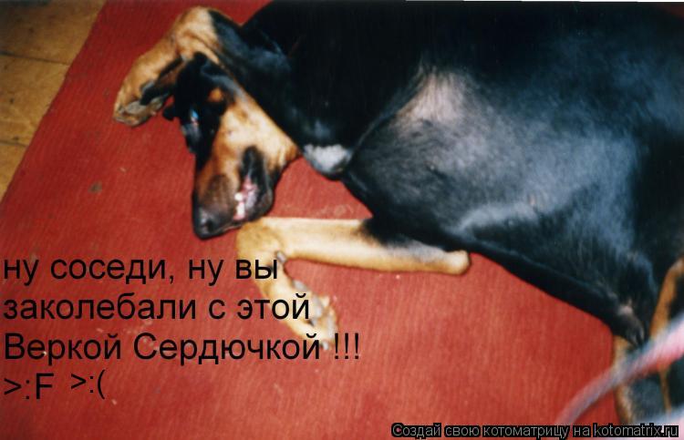 >:(... Котоматрица: >:(